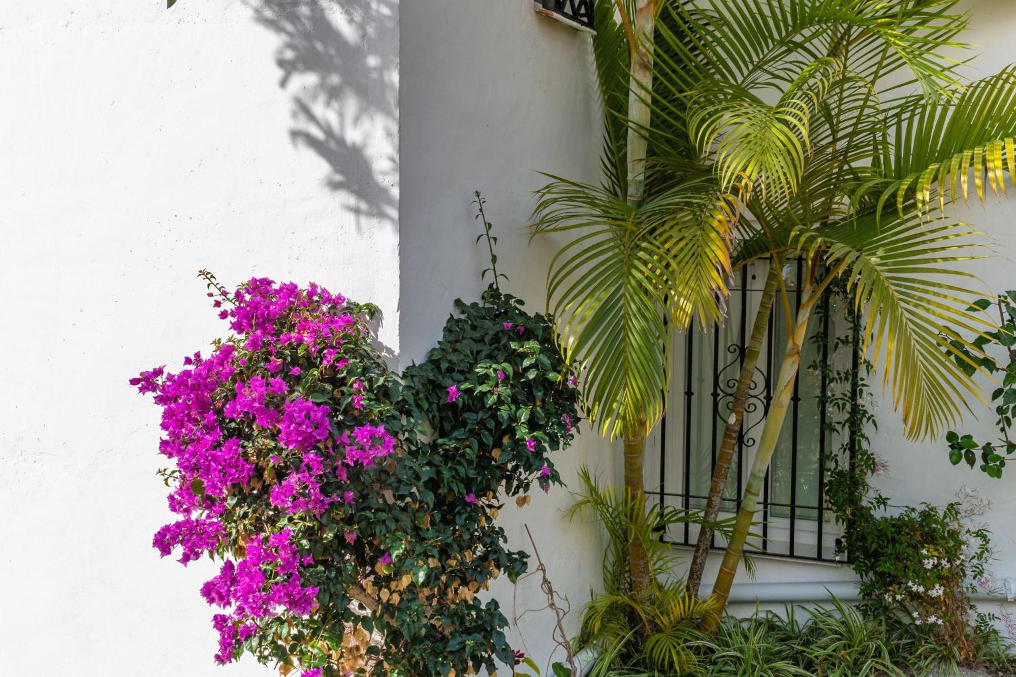 Apartment Palmas 17b Oasis *
